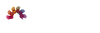 Parklee Primary School