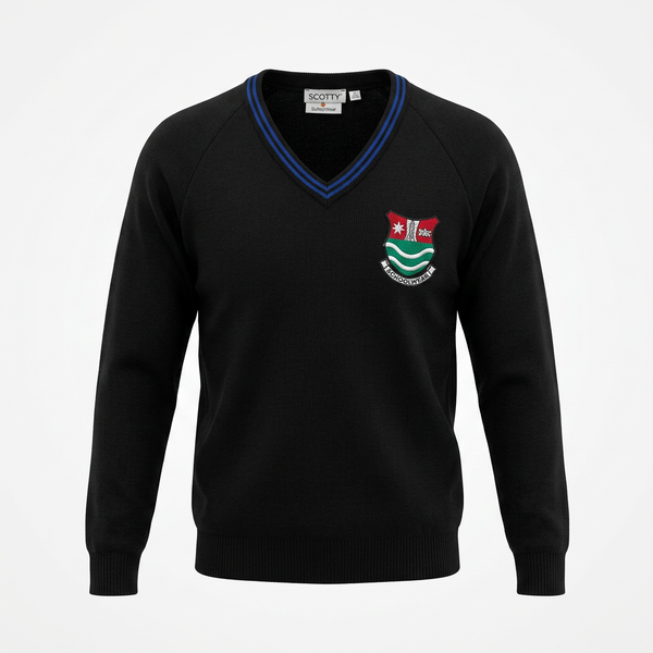 Bedford High School V-Neck Jumper 30