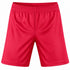 Cycling Short