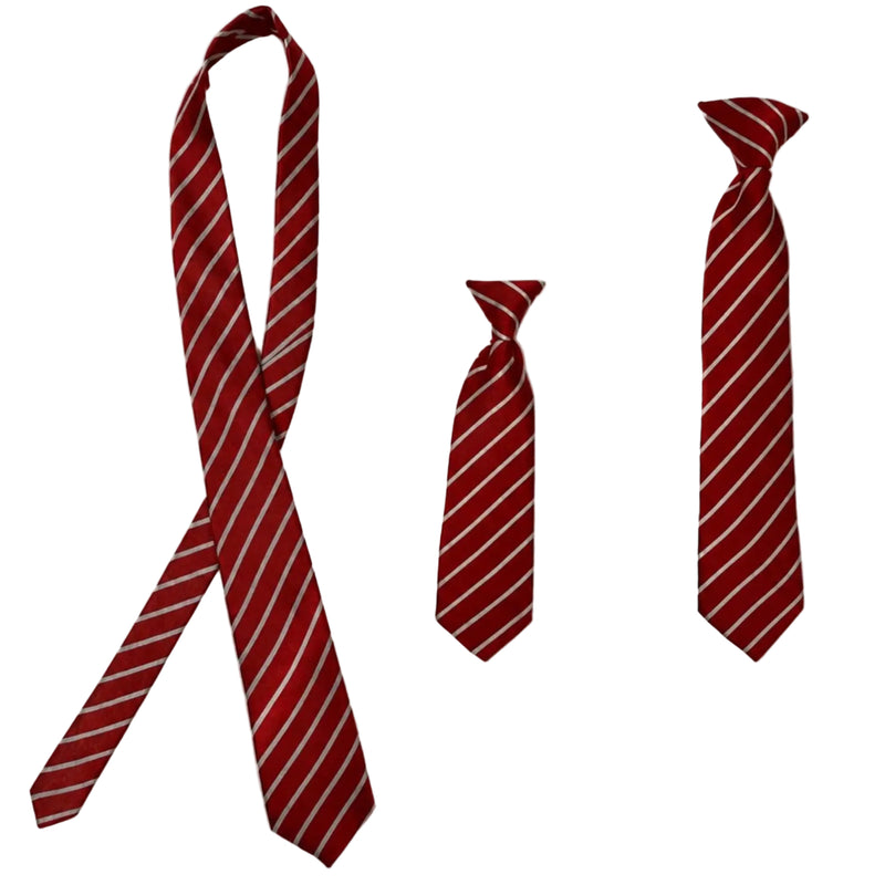 Leigh CE. School Ties
