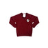 Bedford Hall Methodist Primary School Boys V-Neck Jumper  - Years 6