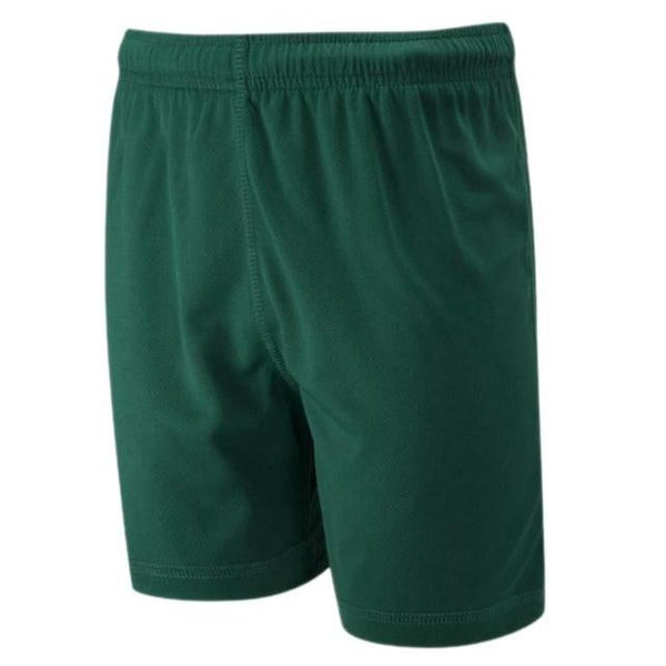 School P.E. Shorts