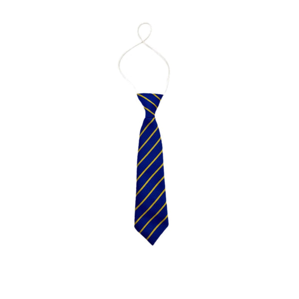 St Catherine Of Siena Catholic Primary School Ties